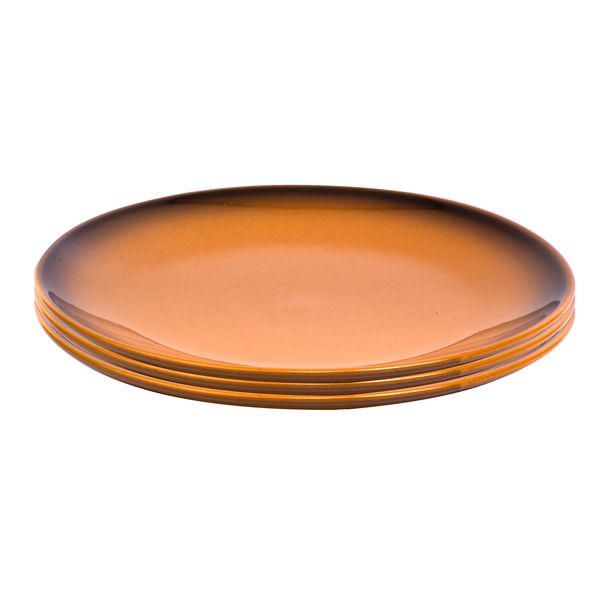 Karoo Dinner Plates 3pc
